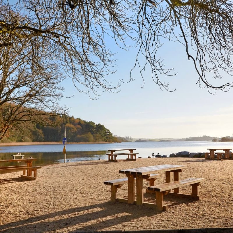 Lough Muckno Benches